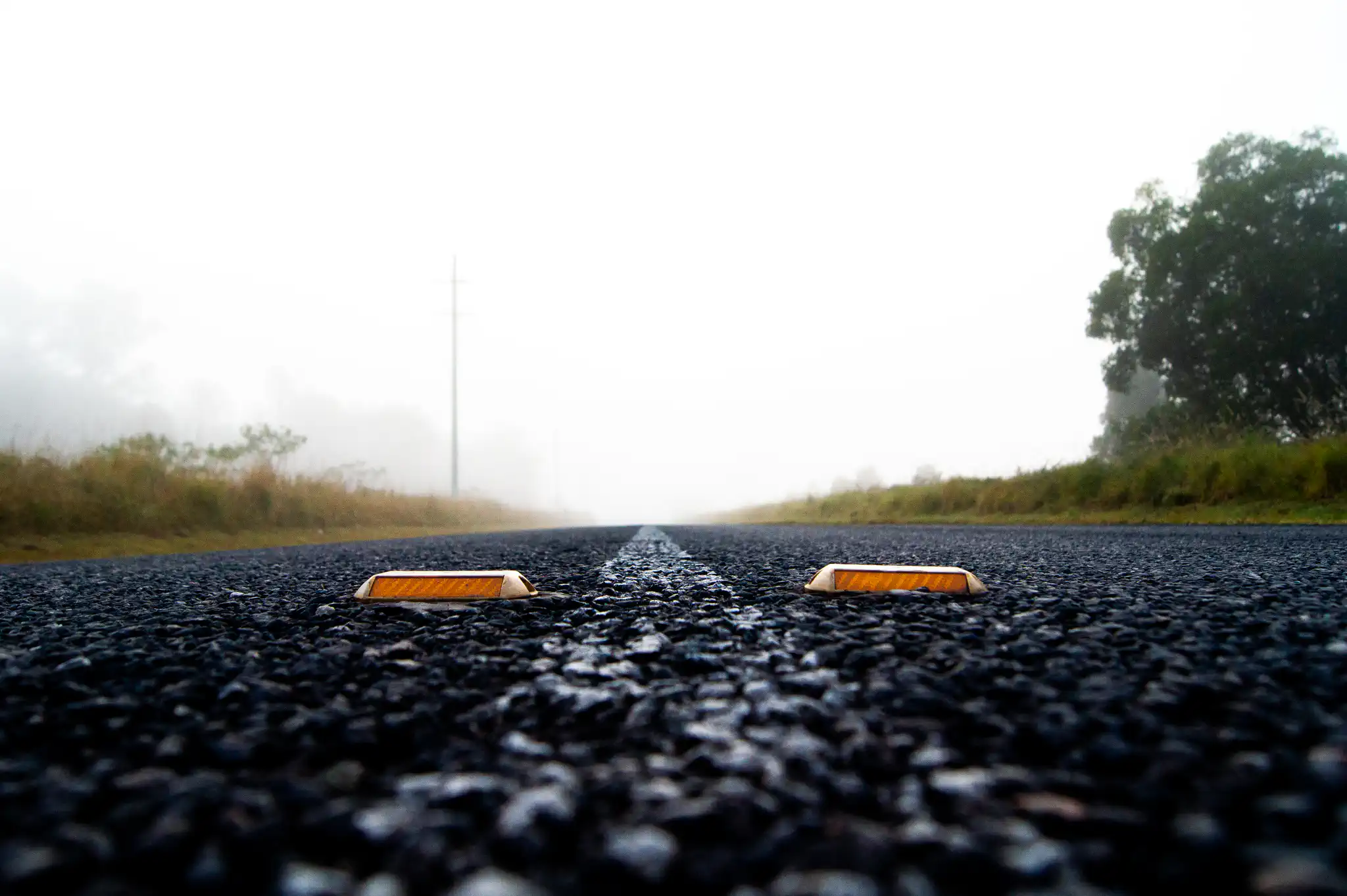 Foggy road with road markers ahead